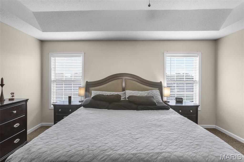 385 Spring Hill Road Jackson, MO 63755 - Photo 12 of 38 Gallery Image 12
