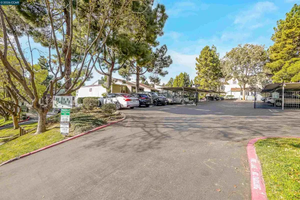 a view of road with trees