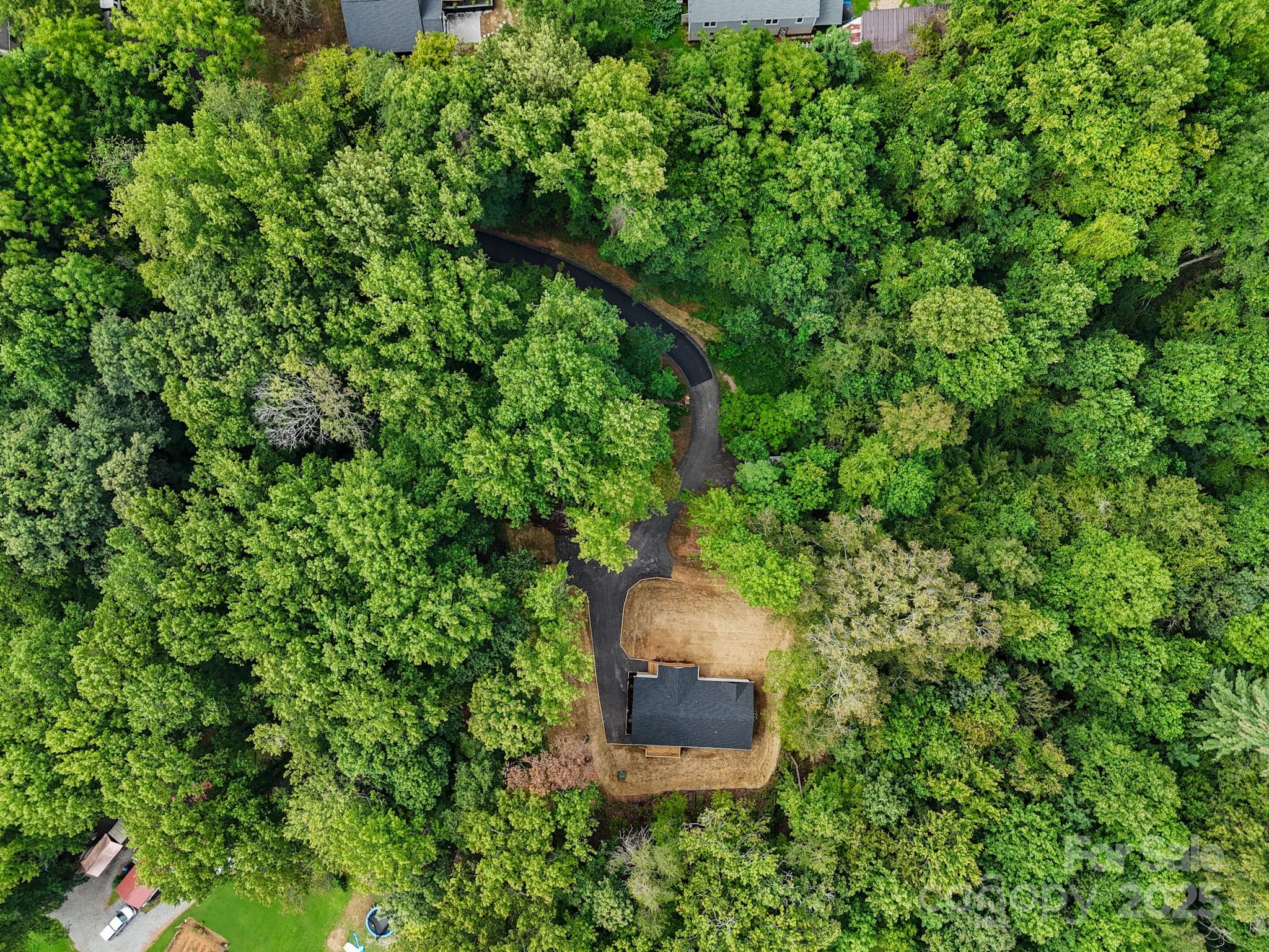 99 Grassy View Road Candler, NC 28715 - Photo 37 of 44