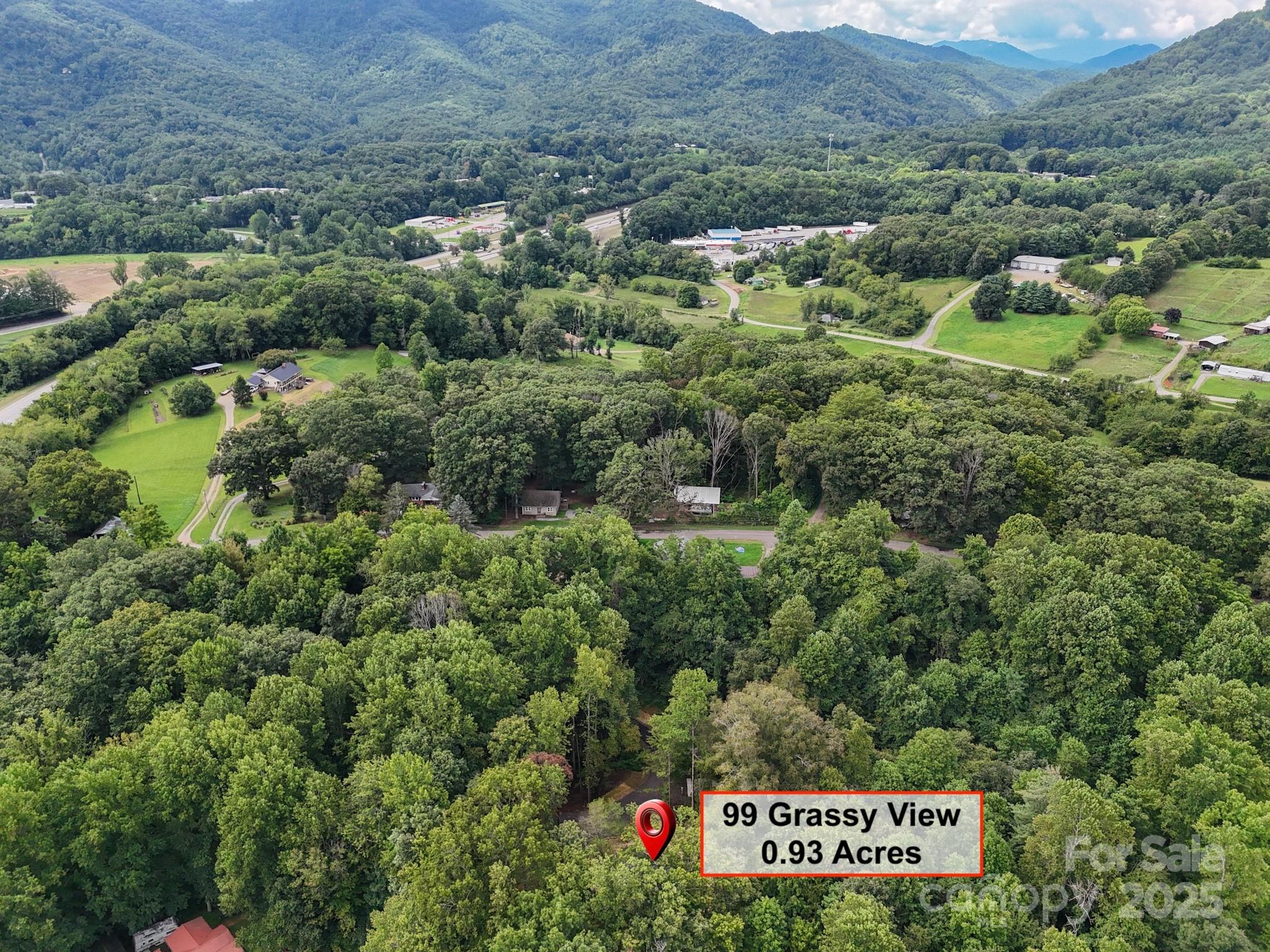 99 Grassy View Road Candler, NC 28715 - Photo 6 of 44