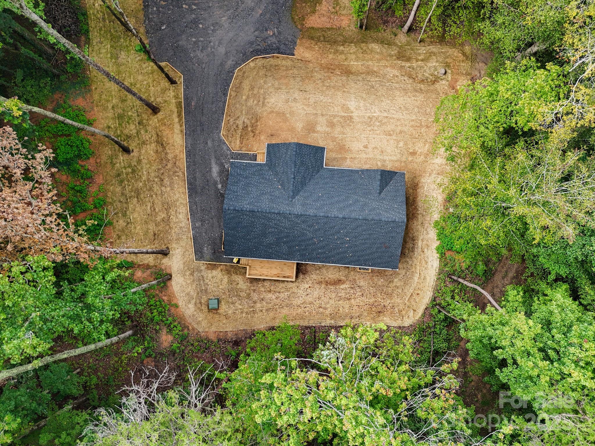 99 Grassy View Road Candler, NC 28715 - Photo 7 of 44