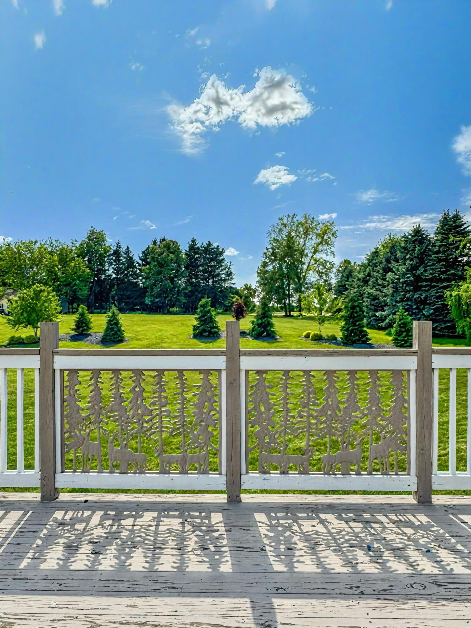 5576 Kidder Road Almont, MI 48003 - Photo 10 of 56 6300578209272770886