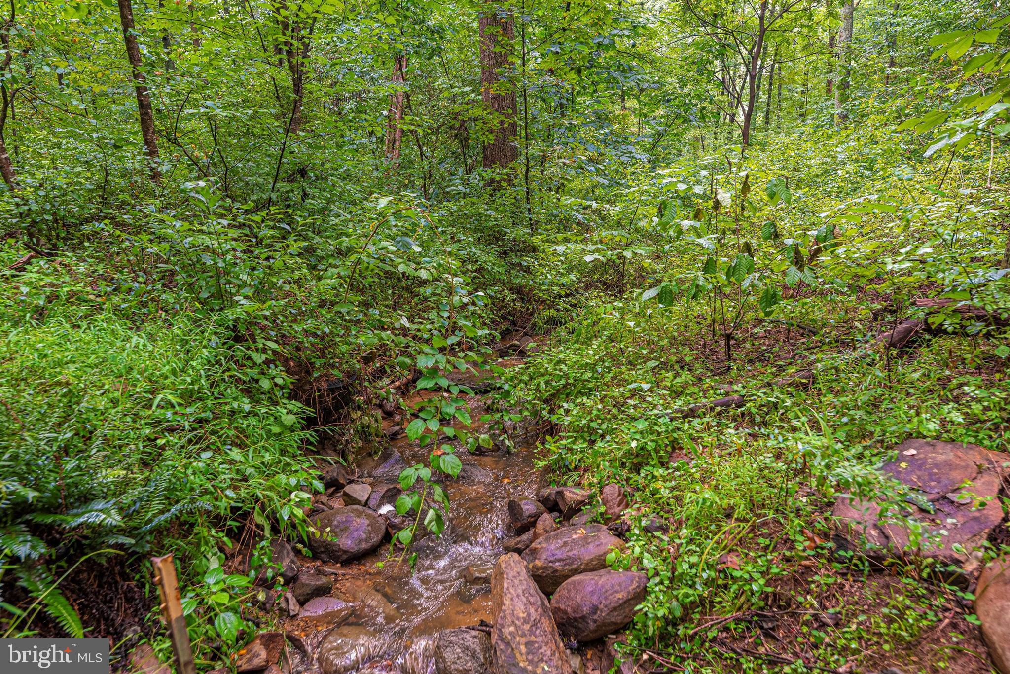 3250 Kaetzel Road Rohrersville, MD 21779 - Photo 62 of 63 Stream