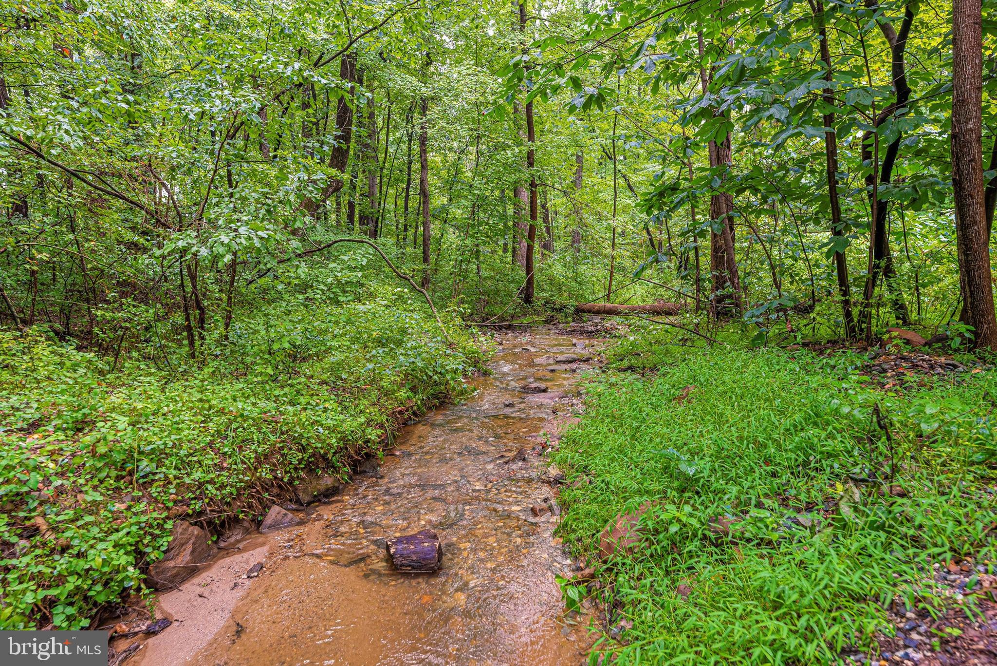 3250 Kaetzel Road Rohrersville, MD 21779 - Photo 63 of 63 Stream