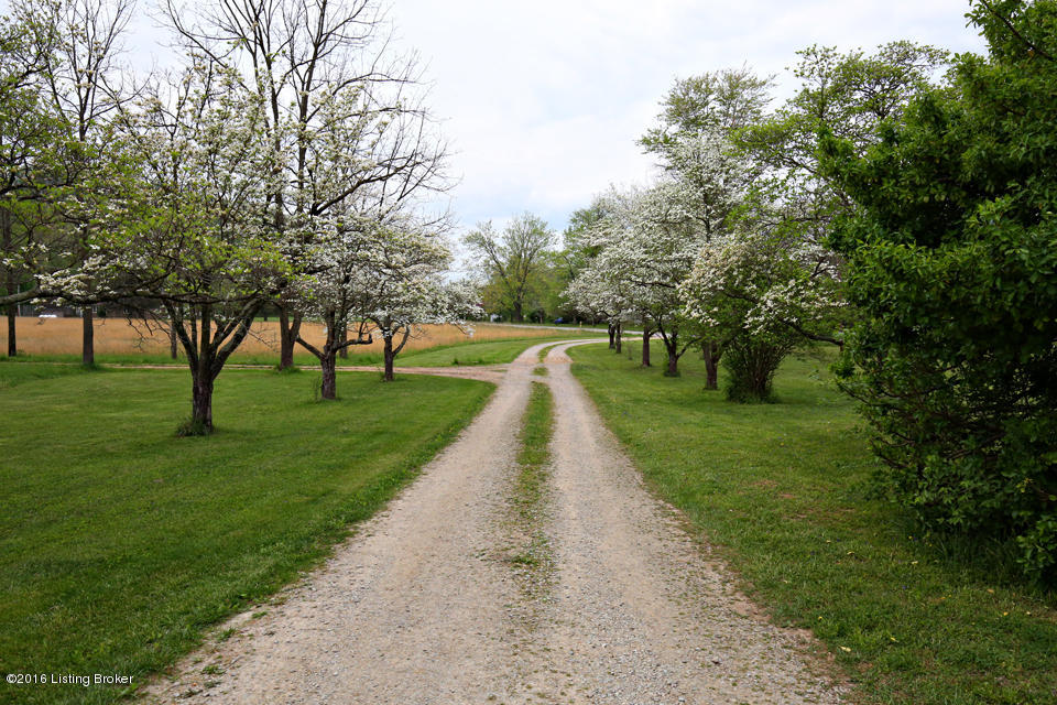 5888 Knob Creek Road Brooks, KY 40109 - Photo 3 of 58 Mature Tres