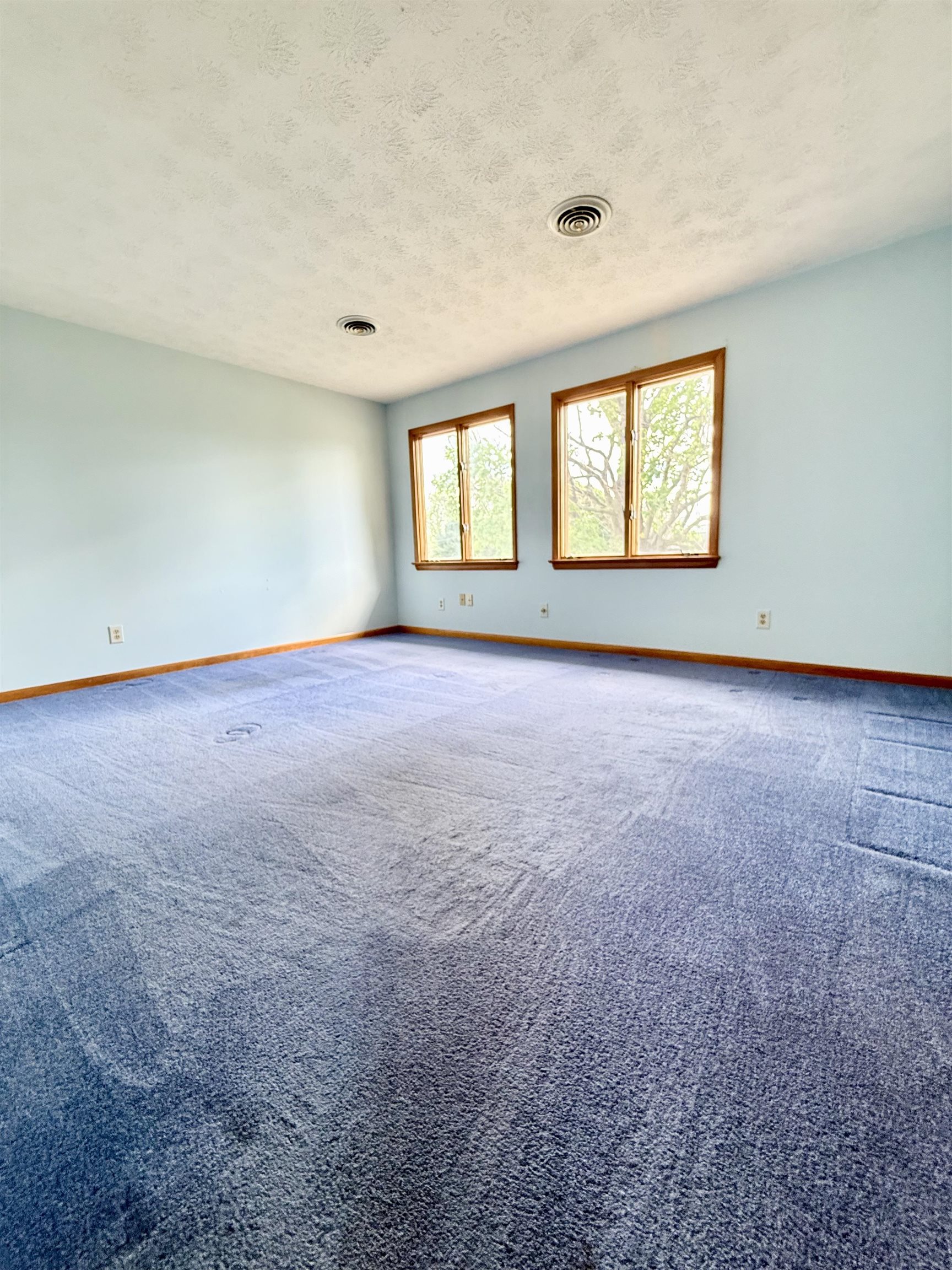 369 Monger Hill Road Elkton, VA 22827 - Photo 22 of 48