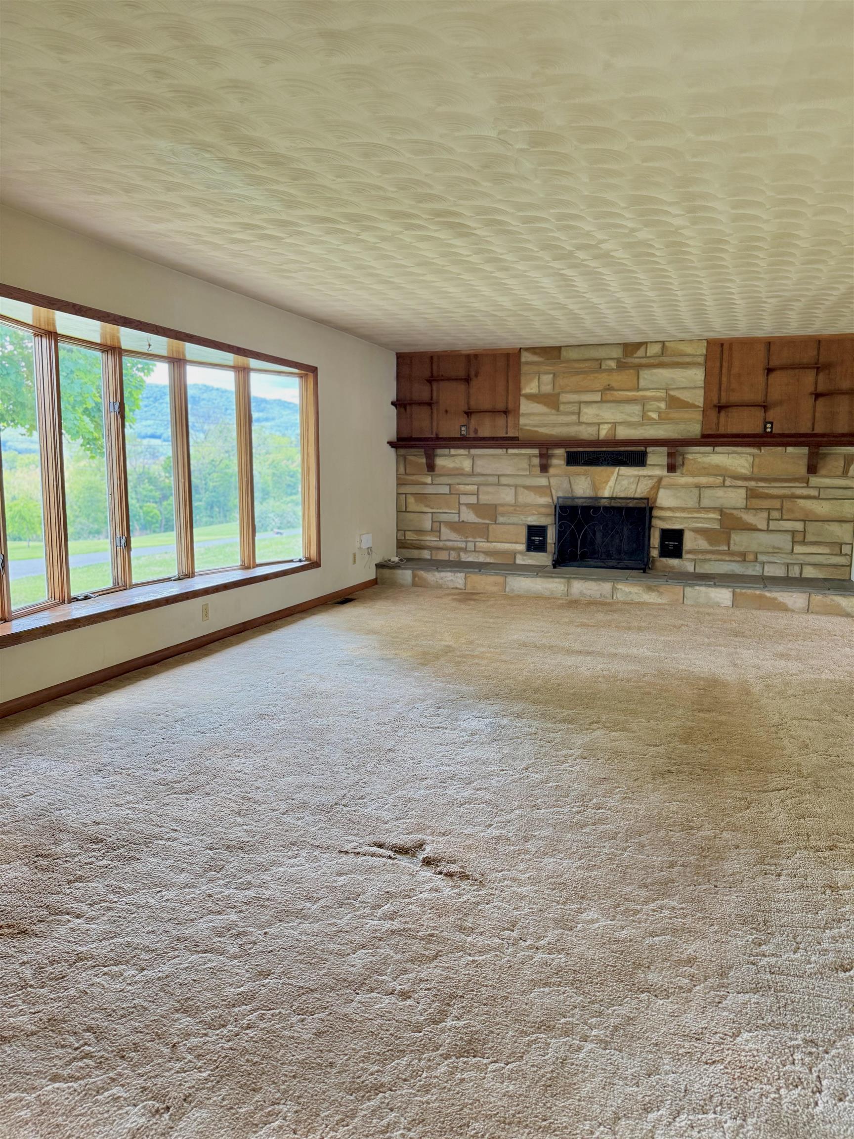 369 Monger Hill Road Elkton, VA 22827 - Photo 7 of 48