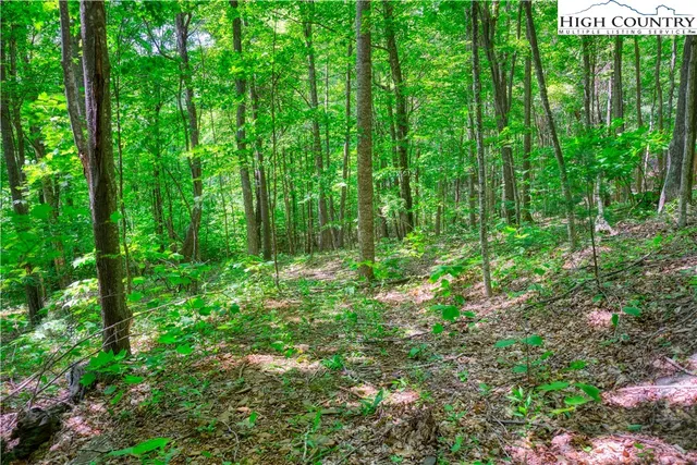 $29,000 | Lot 10 Quail Ridge Drive, Fleetwood, NC 28626