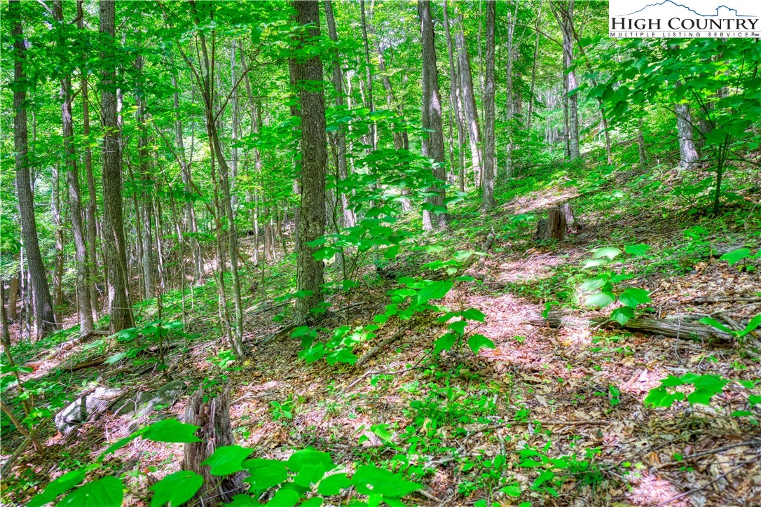 Lot 10 Quail Ridge Drive Fleetwood, NC 28626 - Photo 6 of 8