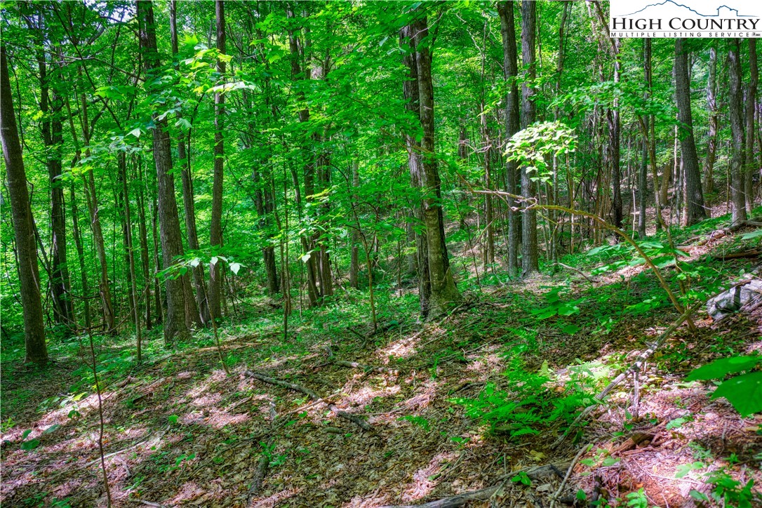 Lot 10 Quail Ridge Drive Fleetwood, NC 28626 - Photo 7 of 8