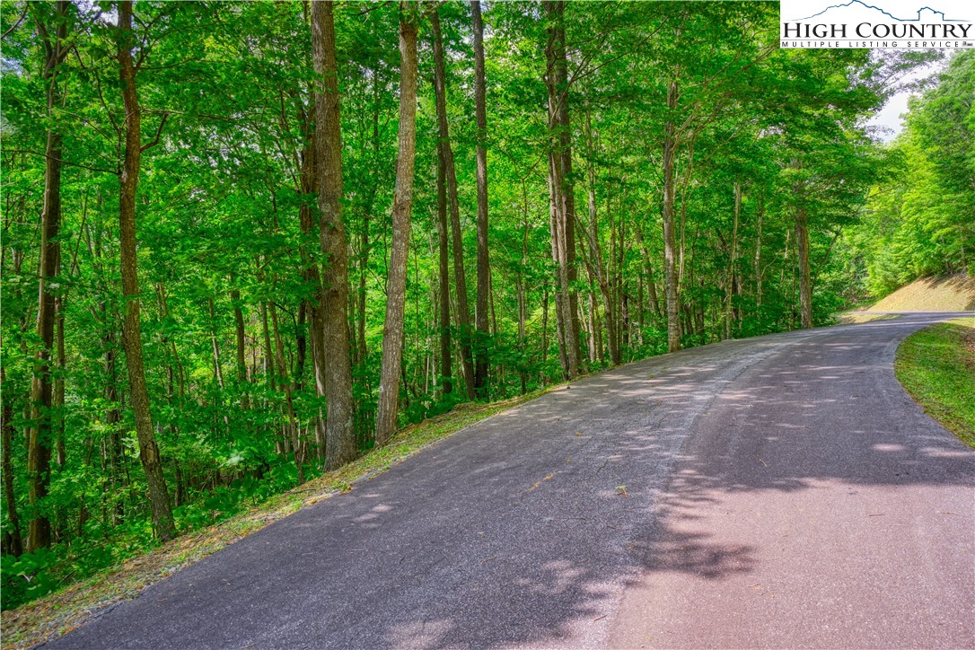 Lot 10 Quail Ridge Drive Fleetwood, NC 28626 - Photo 8 of 8