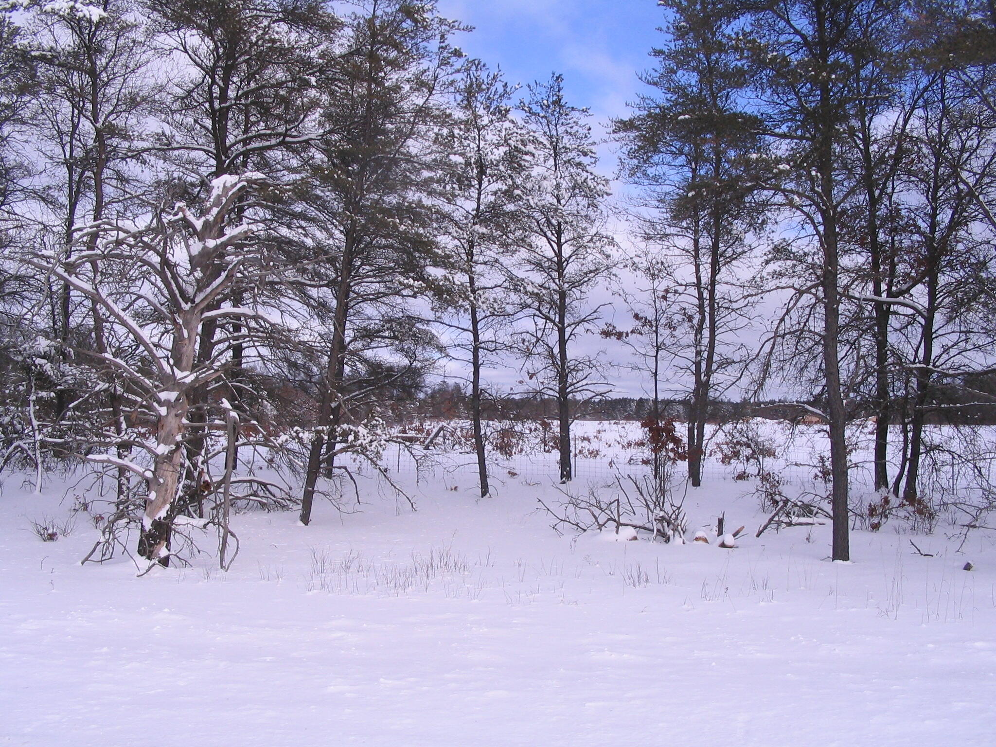 2 North Down River Road Grayling, MI 49738 - Photo 4 of 9 Gallery Image 4