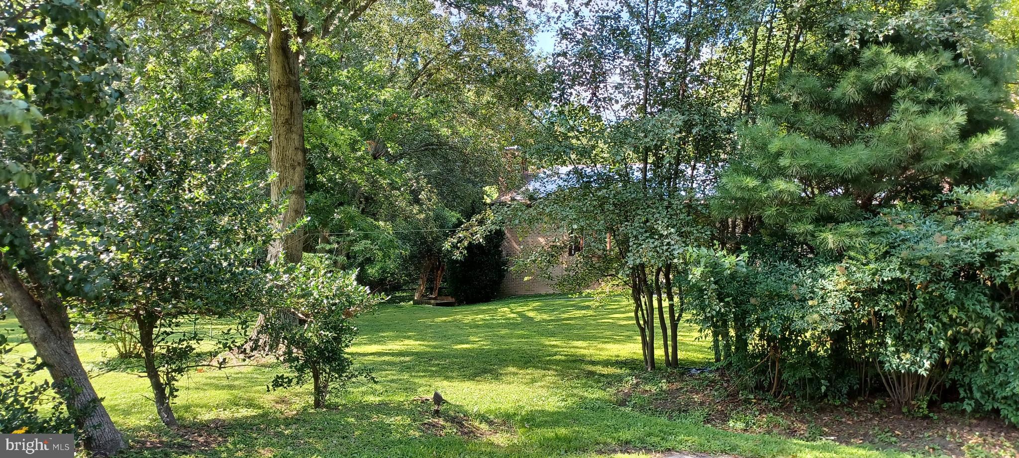 416 Marshall Manor Drive Silver Spring, MD 20905 - Photo 15 of 17