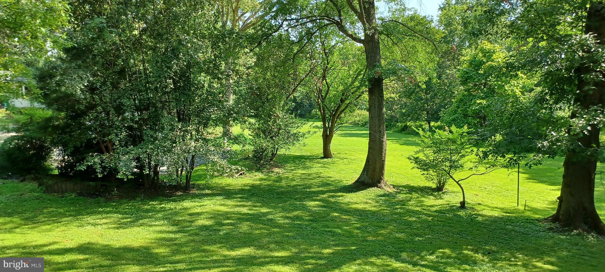 416 Marshall Manor Drive Silver Spring, MD 20905 - Photo 16 of 17