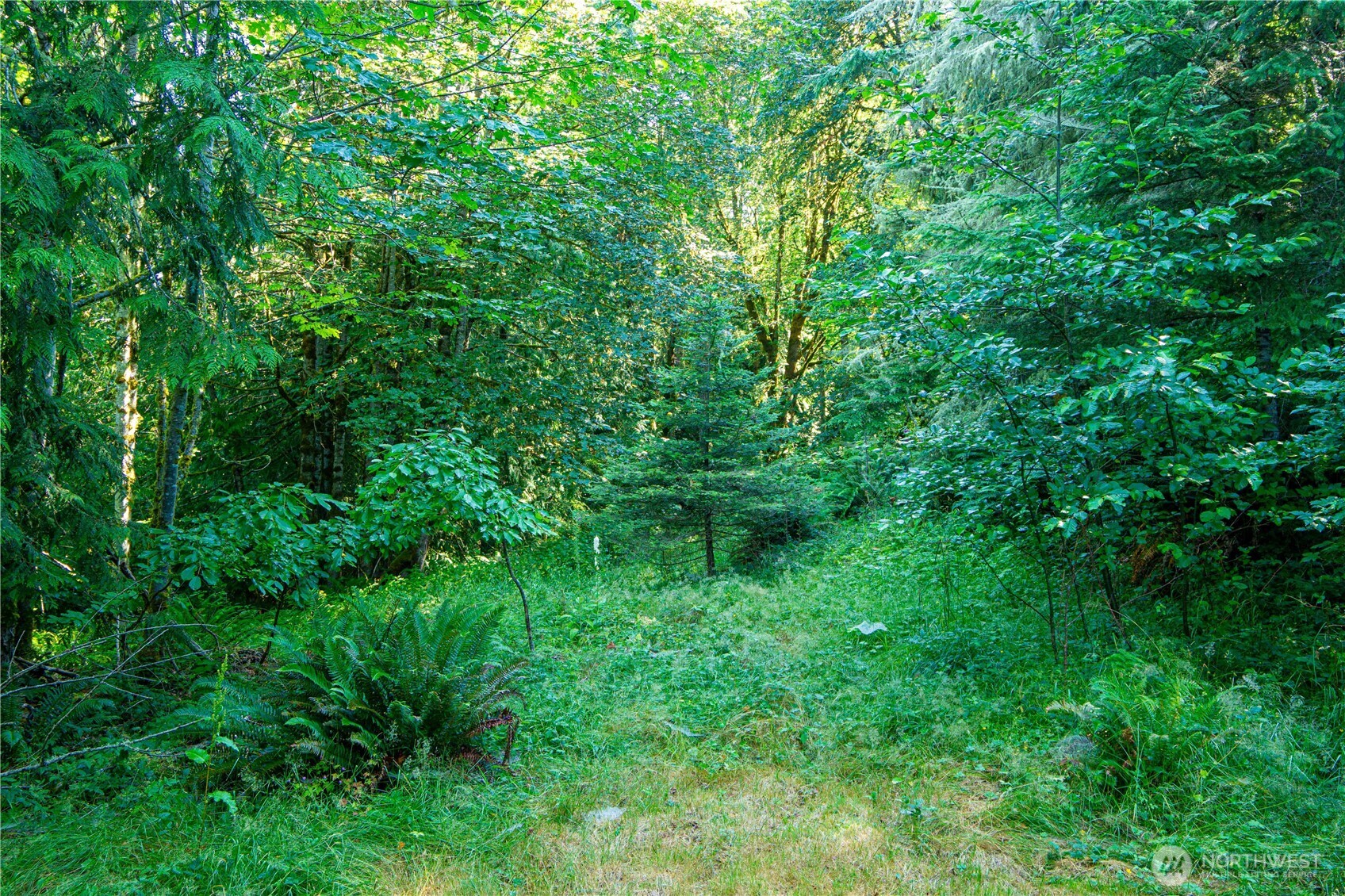 3039 Eden Valley Road Port Angeles, WA 98363 - Photo 27 of 40 Gallery Image 27