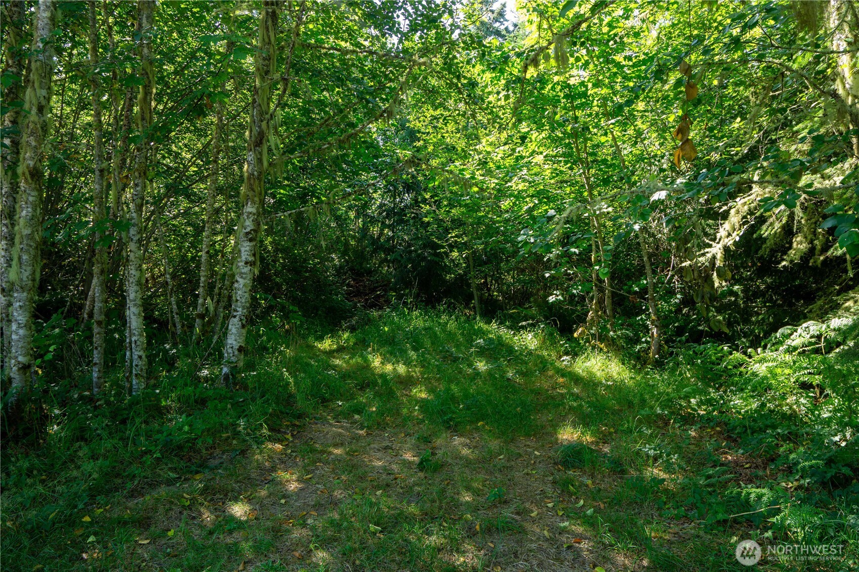 3039 Eden Valley Road Port Angeles, WA 98363 - Photo 28 of 40 Gallery Image 28