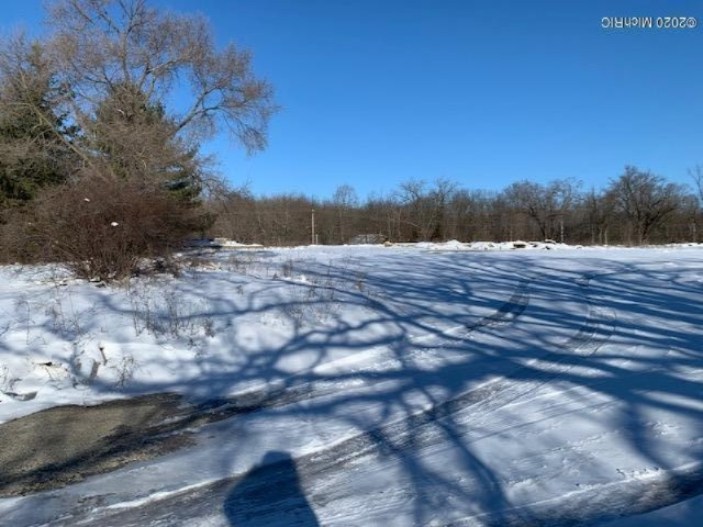 1001-1015 Wood Street Three Rivers, MI 49093 - Photo 7 of 7 326 Tenth