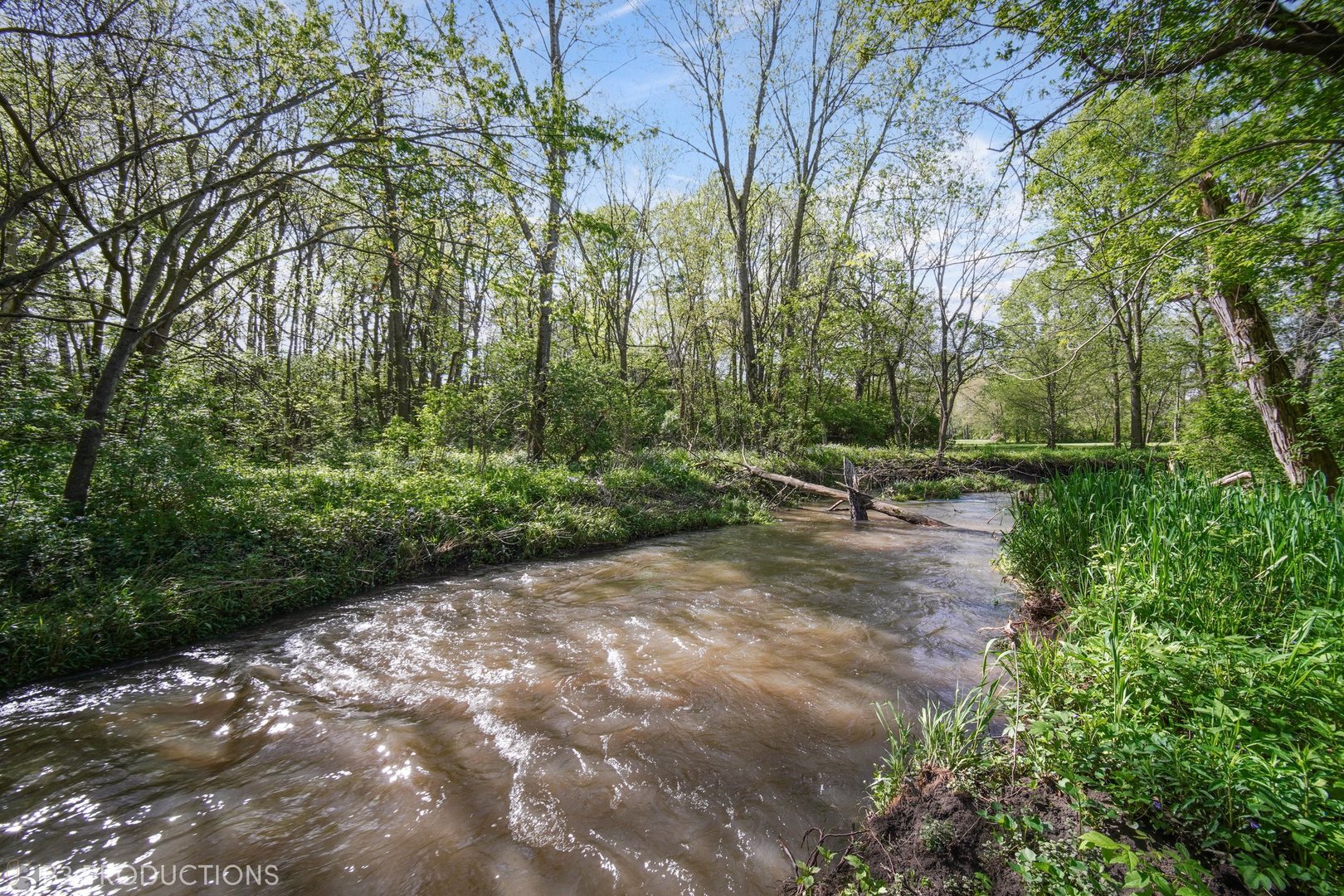 21011 West County Road Wilmington, IL 60481 - Photo 4 of 34 Gallery Image 4