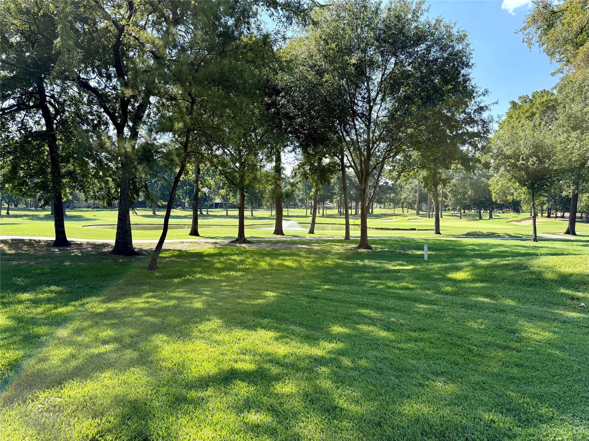 12900 Walden Road, Unit 1006J Montgomery, TX 77356 - Photo 7 of 42