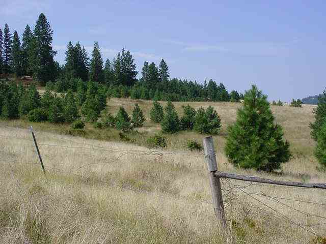 6310 South Saddle Ridge Road, Unit 6310 APPROX Greenacres, WA 99016 - Photo 2 of 5