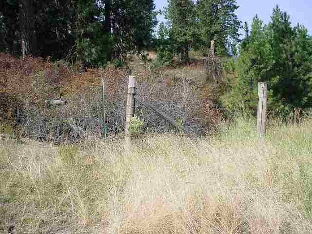 6310 South Saddle Ridge Road, Unit 6310 APPROX Greenacres, WA 99016 - Photo 3 of 5