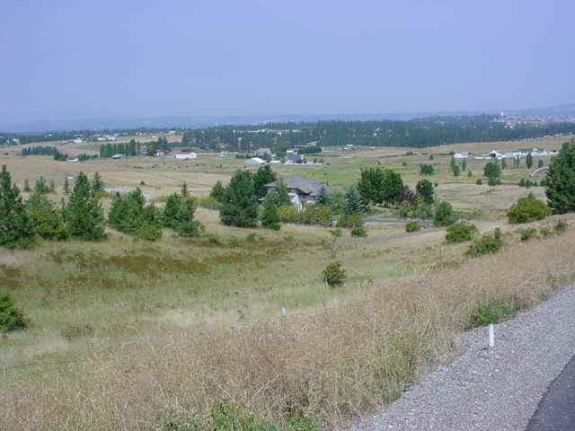 6310 South Saddle Ridge Road, Unit 6310 APPROX Greenacres, WA 99016 - Photo 4 of 5