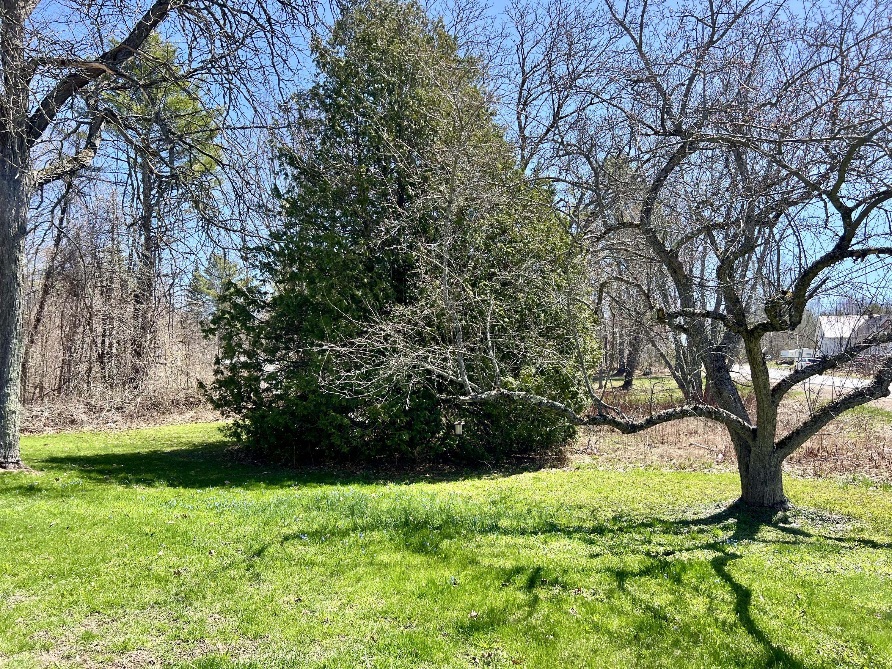 28 Vienna Road Chesterville, ME 04938 - Photo 27 of 38 lawn roadside