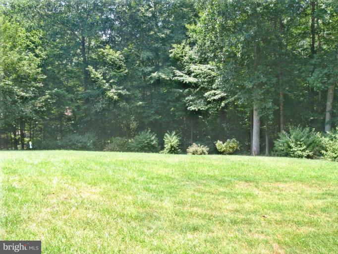 8230 Honeysuckle Road Manassas, VA 20112 - Photo 15 of 15 Back yard