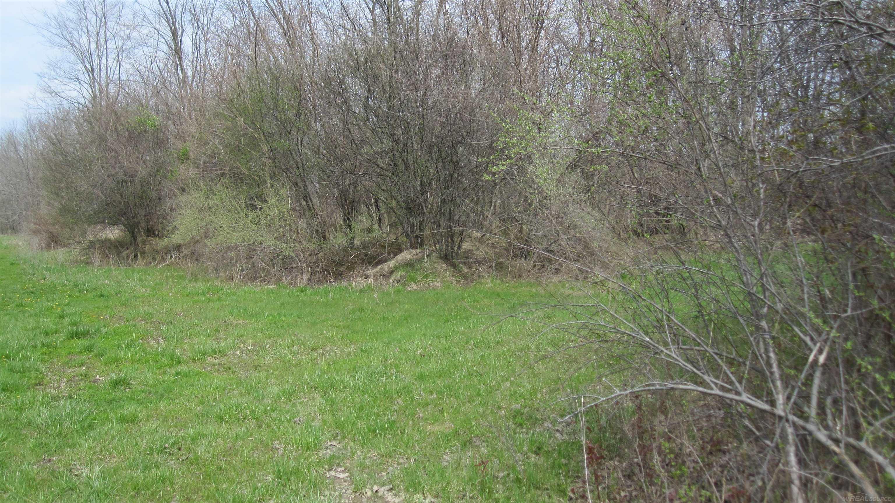 1-vl Jeddo Road Avoca, MI 48006 - Photo 5 of 18
