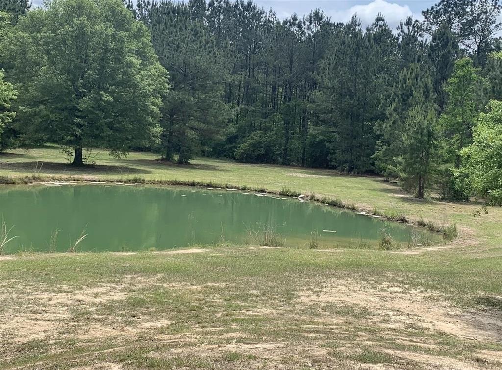 339 Crystal Lane Ragley, LA 70657 - Photo 12 of 14