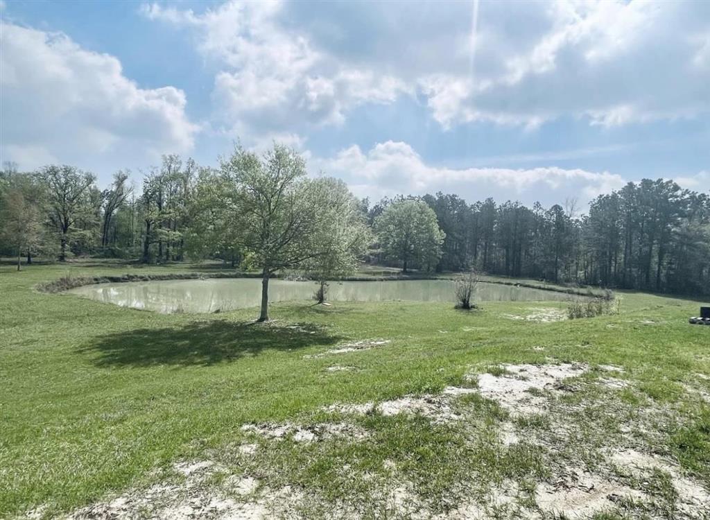 339 Crystal Lane Ragley, LA 70657 - Photo 6 of 14