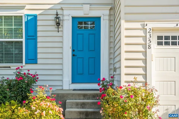 a flower plants in front of a door