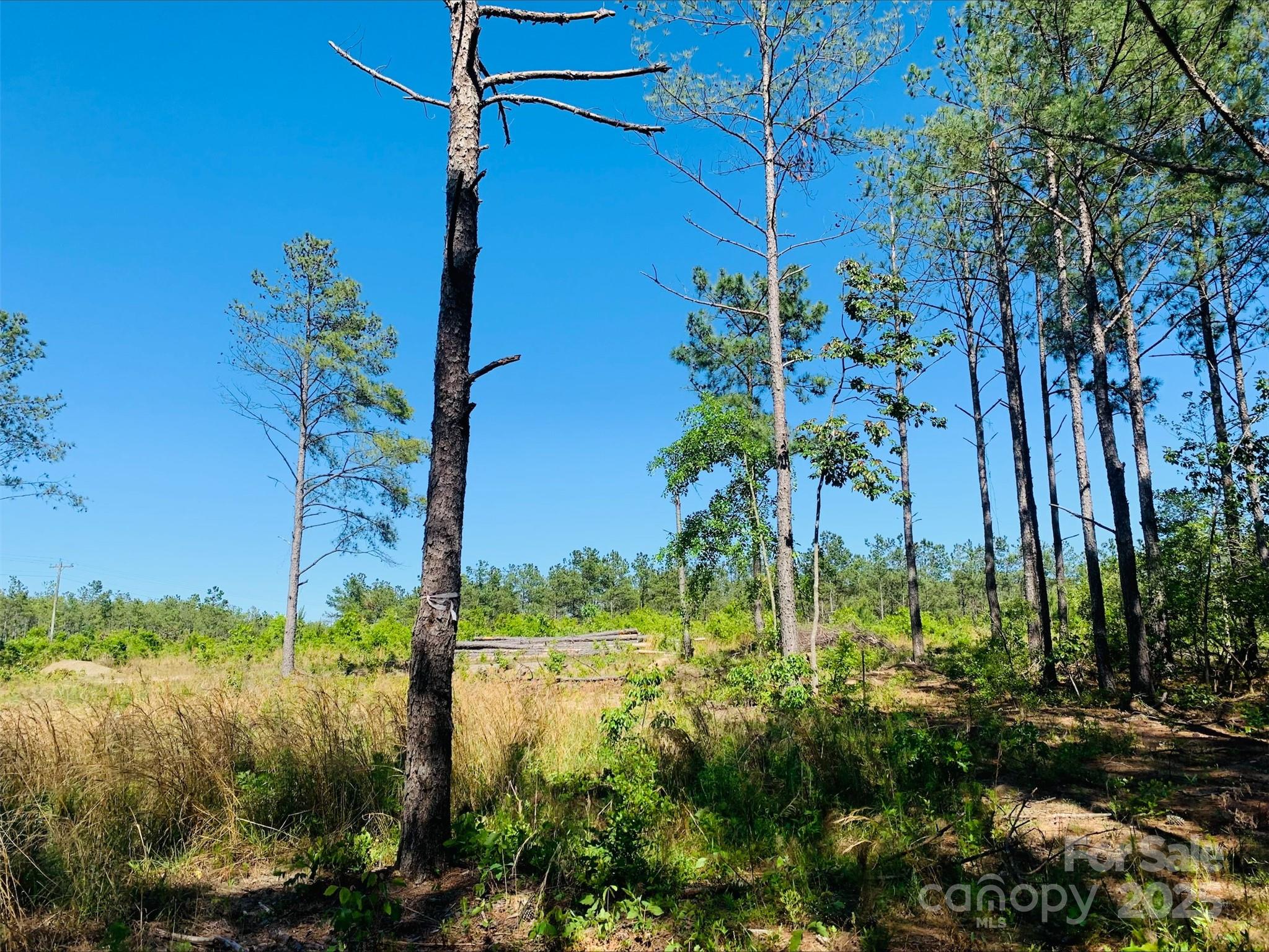 1561 Jones Road Kershaw, SC 29067 - Photo 1 of 4 Gallery Image 1