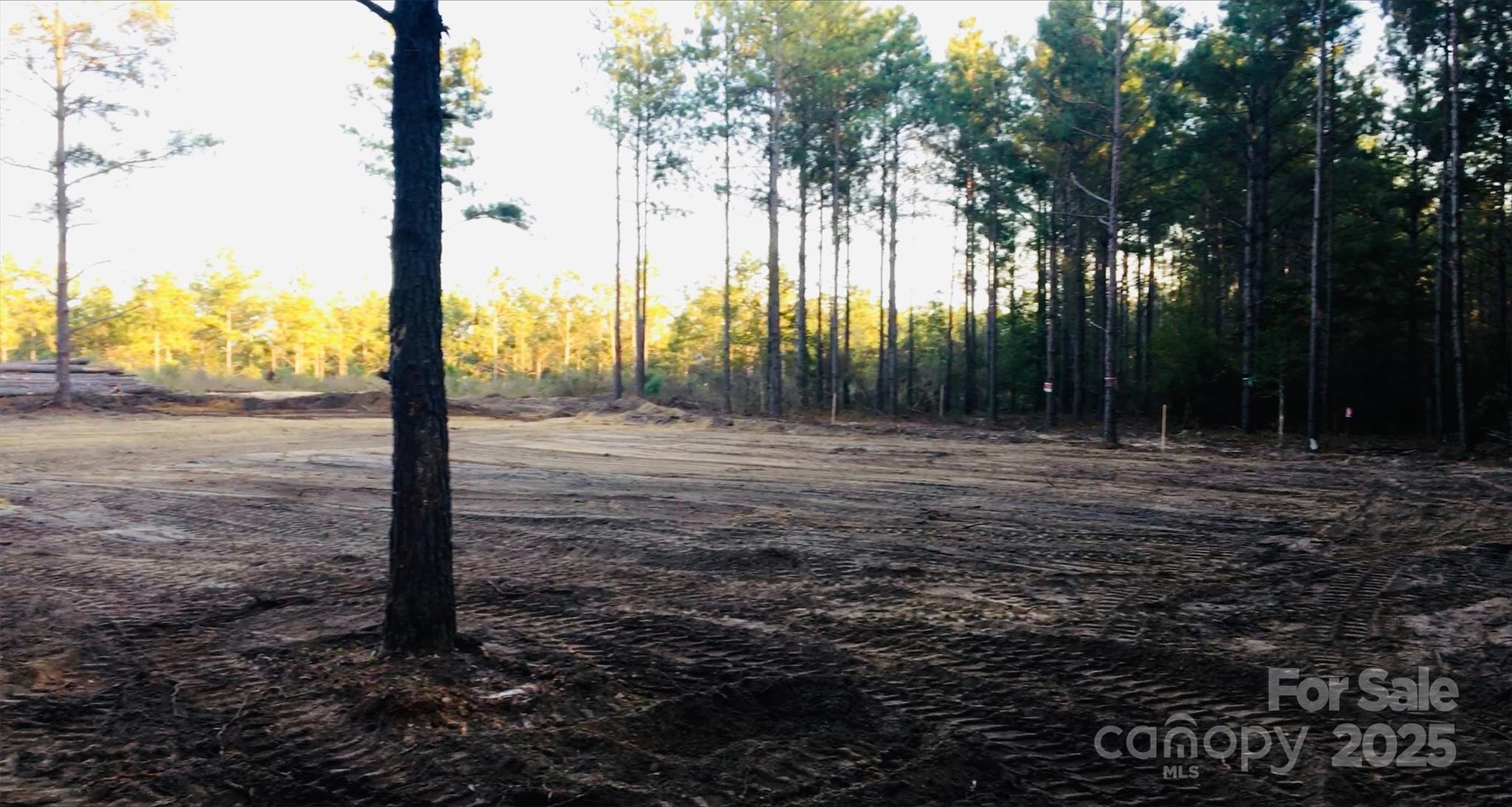 1561 Jones Road Kershaw, SC 29067 - Photo 4 of 4 Gallery Image 4