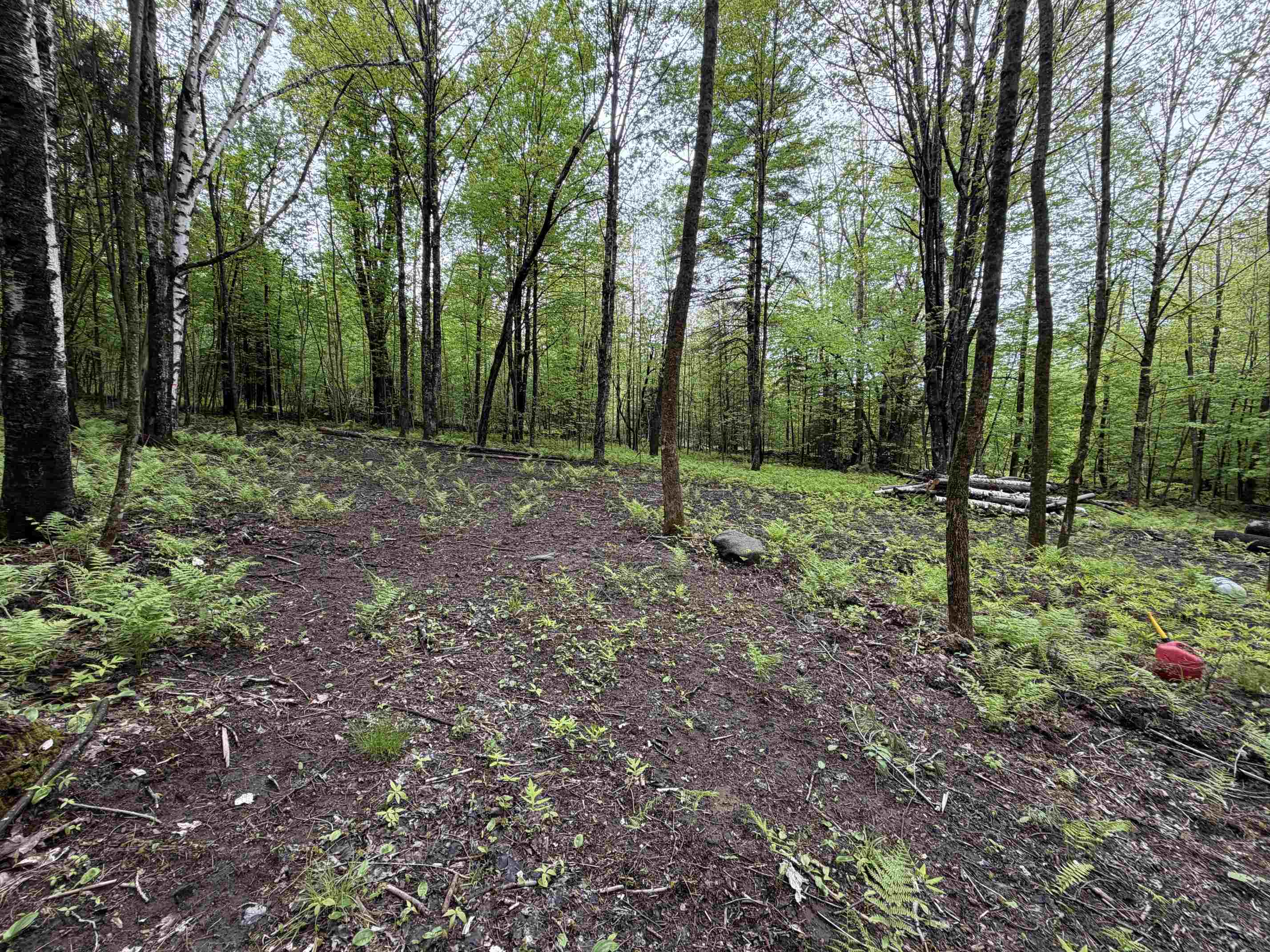 114 Lewis Hill Road Bethlehem, NH 03574 - Photo 6 of 12
