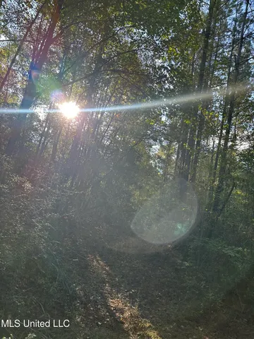 $220,000 | Lee Avenue, Hattiesburg, MS 39401