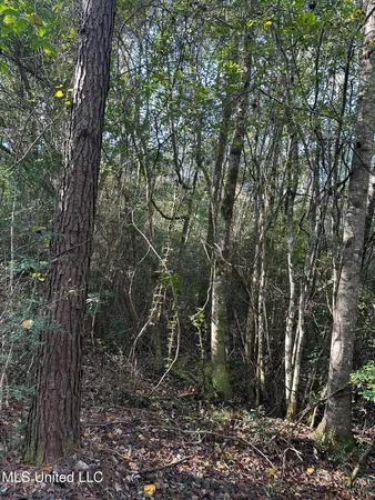 $191,000 | Lee Avenue, Hattiesburg, MS 39401