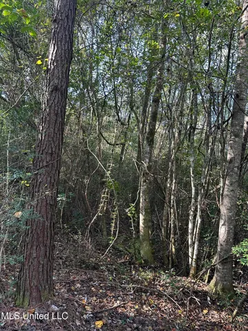 $220,000 | Lee Avenue, Hattiesburg, MS 39401