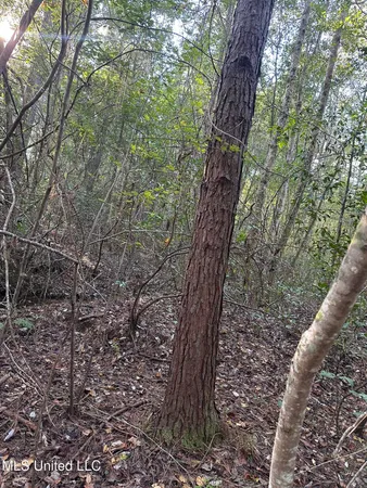 $191,000 | Lee Avenue, Hattiesburg, MS 39401