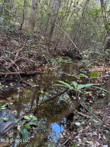 $220,000 | Lee Avenue, Hattiesburg, MS 39401