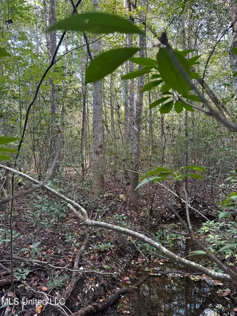 $191,000 | Lee Avenue, Hattiesburg, MS 39401