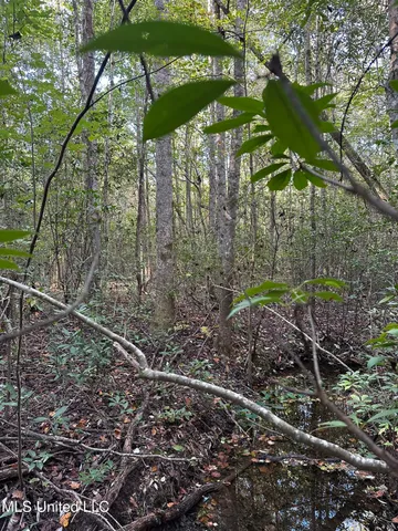 $220,000 | Lee Avenue, Hattiesburg, MS 39401