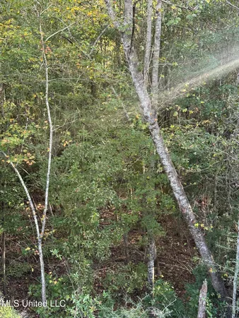 $191,000 | Lee Avenue, Hattiesburg, MS 39401