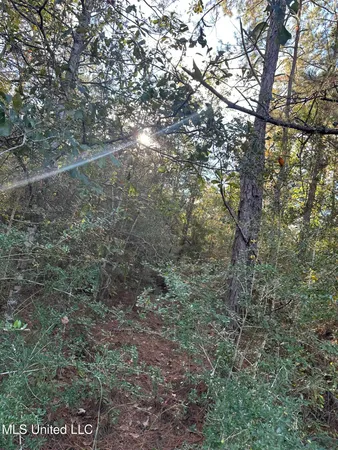 $191,000 | Lee Avenue, Hattiesburg, MS 39401