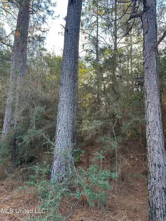 $191,000 | Lee Avenue, Hattiesburg, MS 39401