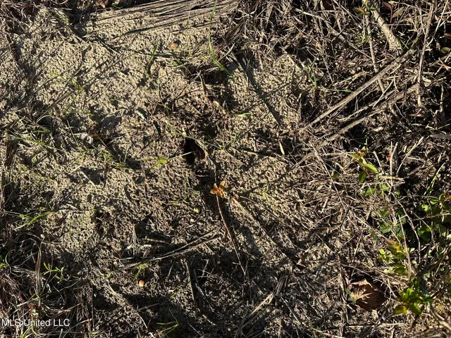 $220,000 | Lee Avenue, Hattiesburg, MS 39401