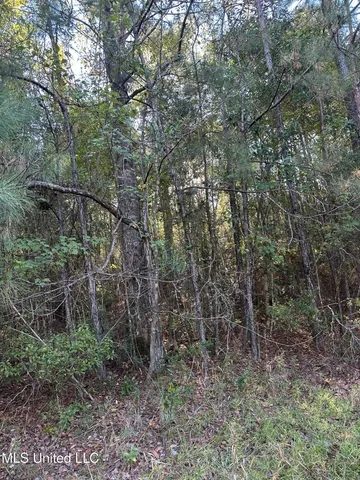 $220,000 | Lee Avenue, Hattiesburg, MS 39401