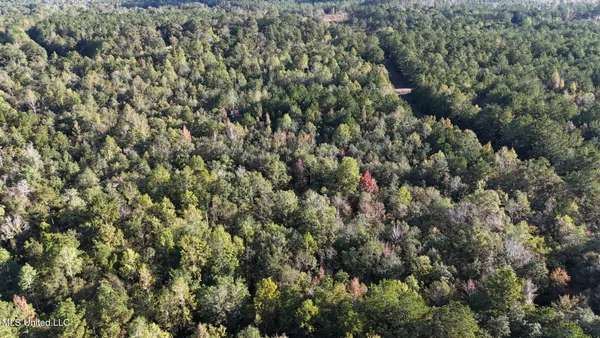 $191,000 | Lee Avenue, Hattiesburg, MS 39401