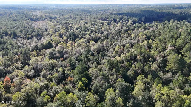 $220,000 | Lee Avenue, Hattiesburg, MS 39401