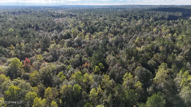 $220,000 | Lee Avenue, Hattiesburg, MS 39401